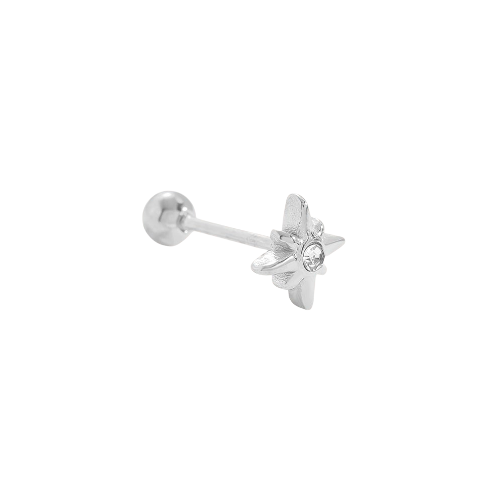 Galaxy Oor Piercing - Silver